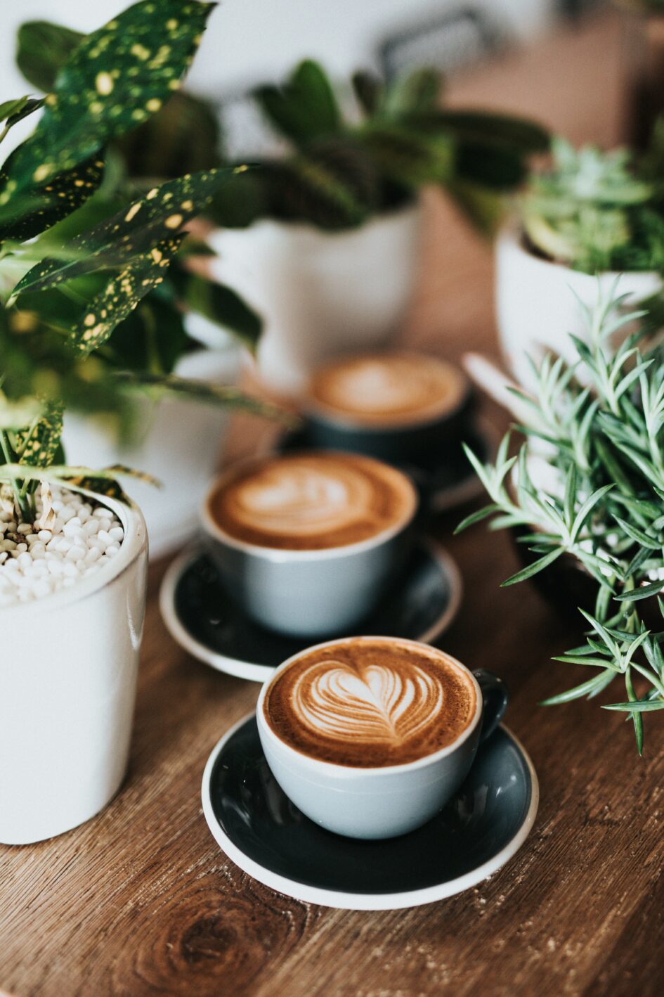 3 lattes in white cups on a wooden table with latte art in the shape of a heart on top..